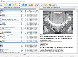 Total Commander plugin for viewing RVF, RTF, DocX files