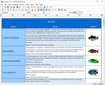 Example of row and column colors